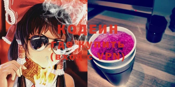 хмурый Михайловск