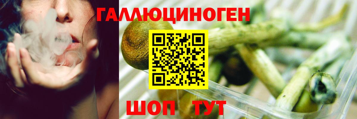 Усть-Кут  Галлюциногенные грибы мицелий  Вход с VPN 